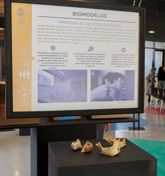 Foto Stand Biomodelos