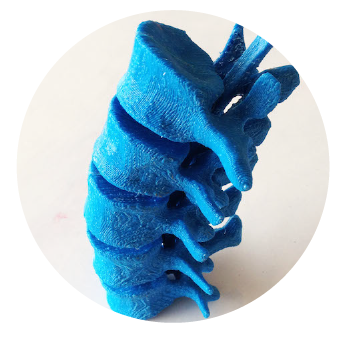 servicio1 impresion biomodelos 02