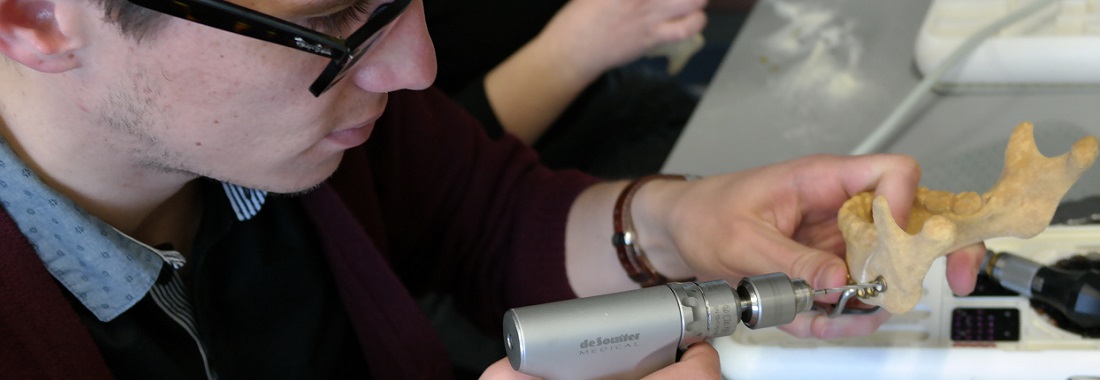 Talleres de prácticas quirúrgicas